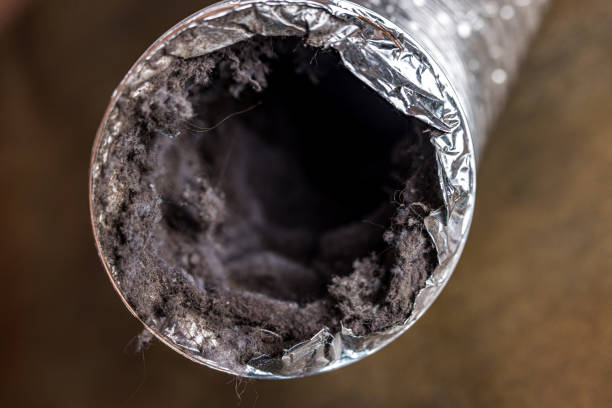 Best Home Air Vent Cleaning  in Pecan Acres, TX