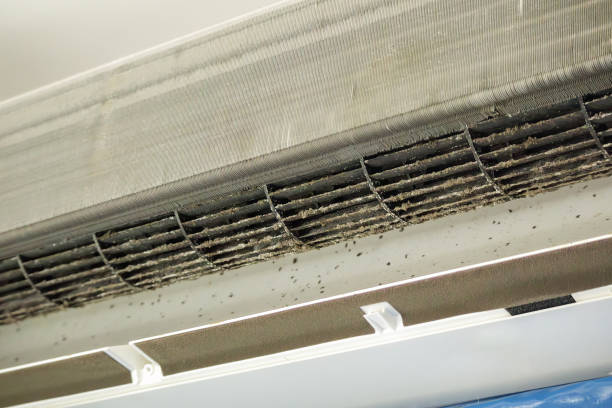 Best Best Air Duct Cleaning Company  in Pecan Acres, TX